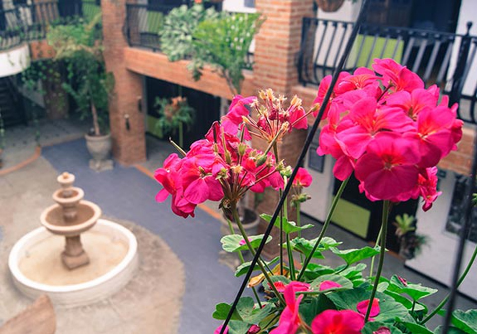 Largas estadías hotel salento real eje cafetero quindío Largas estadías hotel salento real eje cafetero quindío