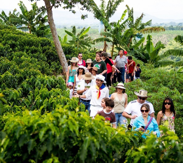 Excursiones Hotel Salento Real Eje Cafetero Quindío